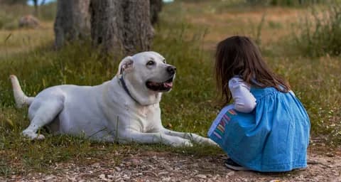10 Dog Breeds That Are Great For Children