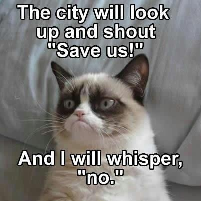 funny grumpy cat pics with captions