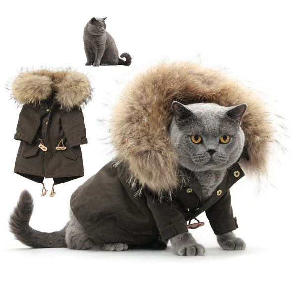 The Top Five Selling Cat Cold Weather Coats Right Now