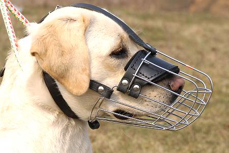 The Benefits Of Using Dog Muzzle