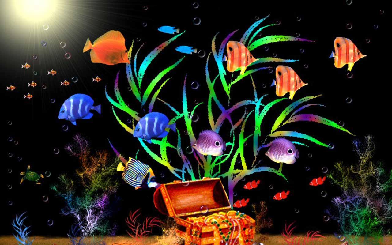 beautiful fishes in aquarium