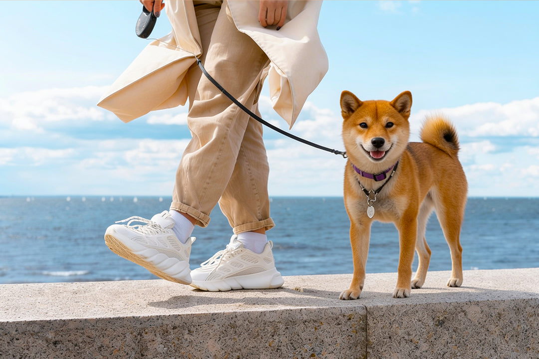 Best Dog Leashes for Training and Daily Walks