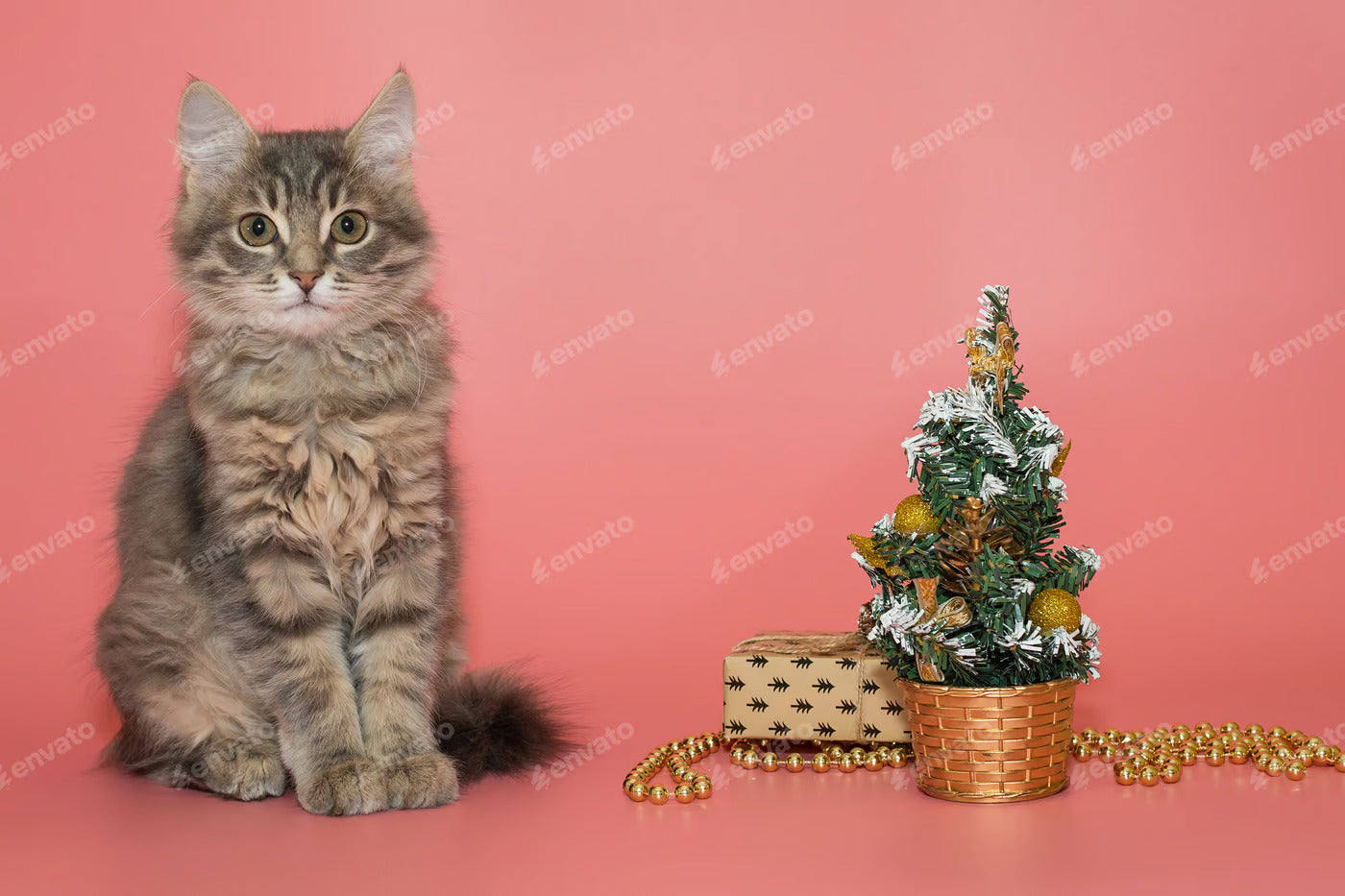 Cat VS Christmas Tree – Funniest Moments
