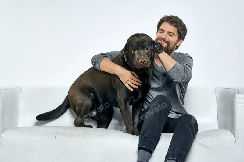 Dogs of Famous Hollywood Celebrities