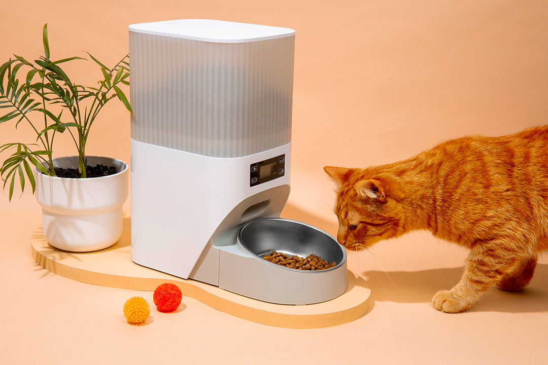 How an Automatic Feeder Can Simplify Your Life as a Pet Parent