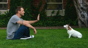 Five Ways To Raise A Friendly Dog