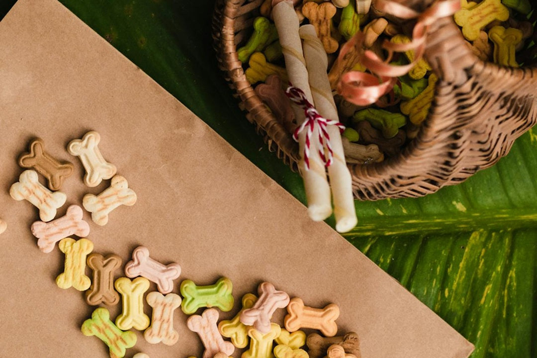 Natural vs Processed Dog Treats