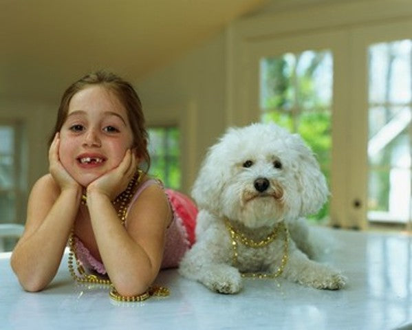 Pets World Launches Big Christmas Sale for Pet Owners – Up to 41% off