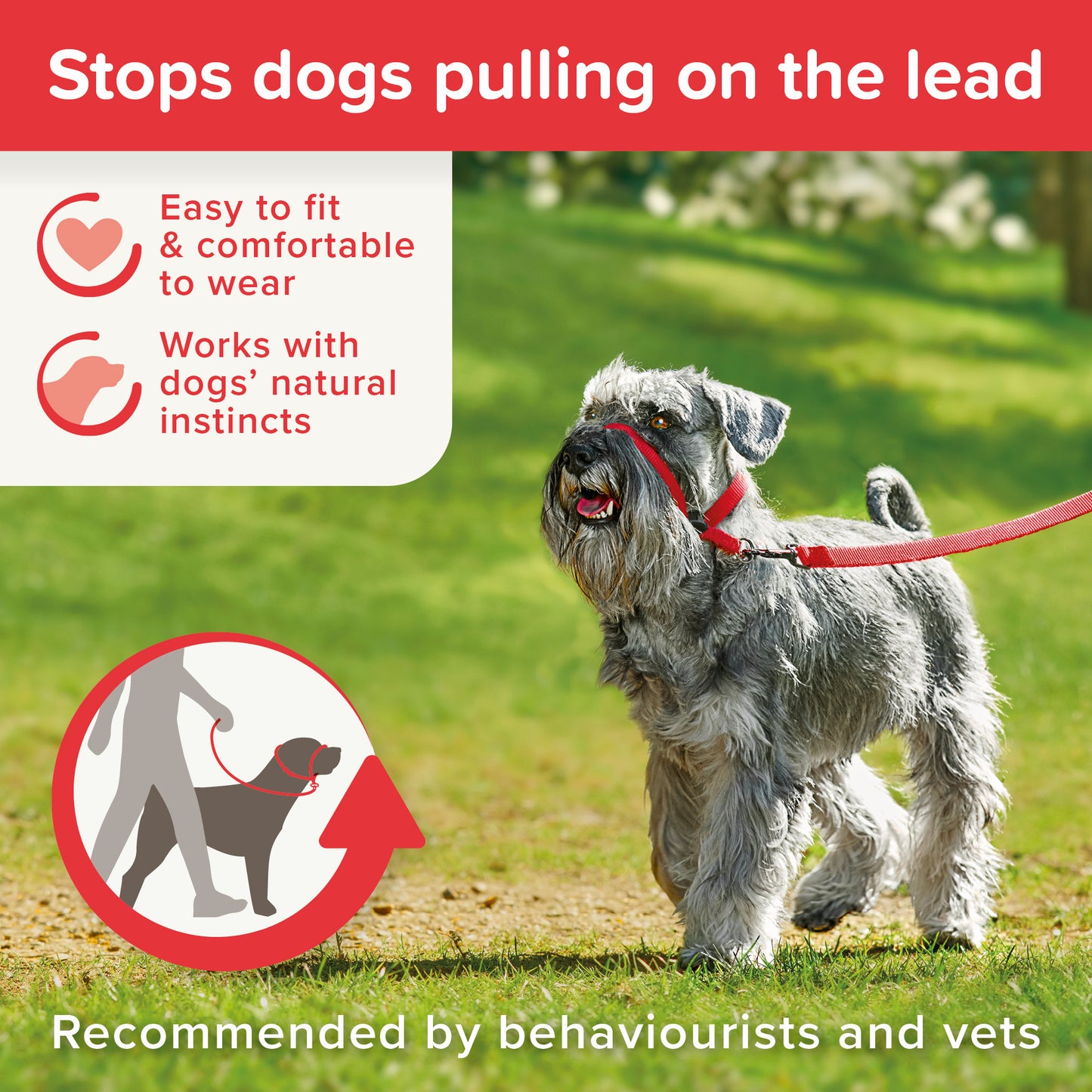 Beaphar Gentle Leader For Small Dogs and Puppy