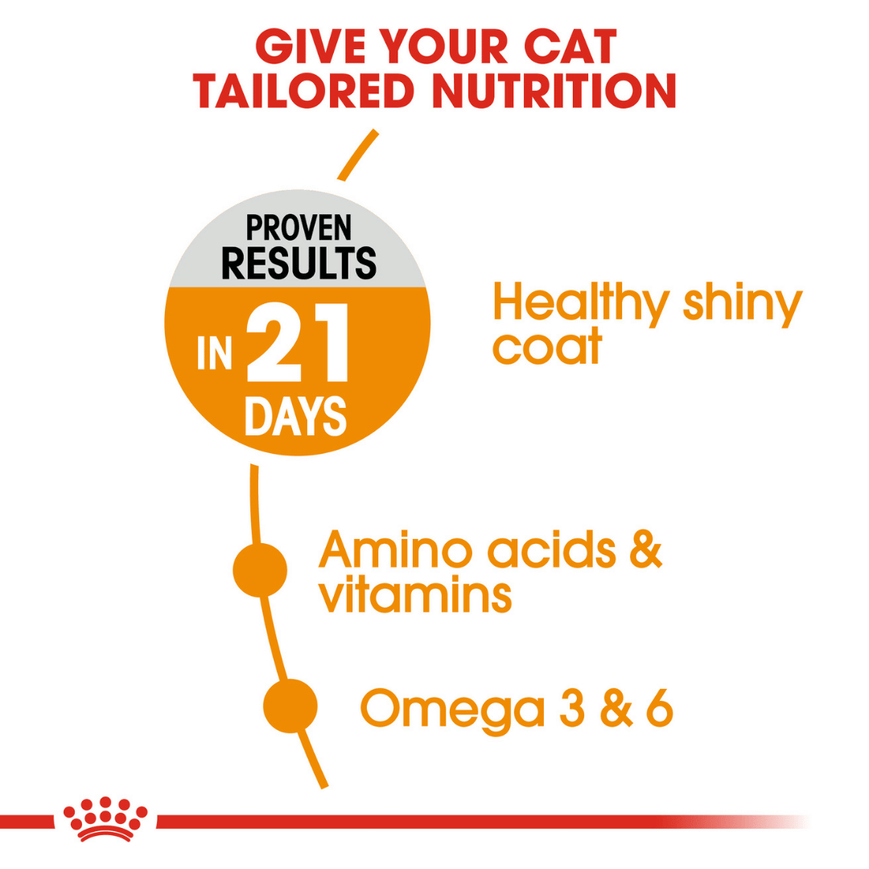 Royal Canin Feline Hair and Skin Care Nutrition Cat Food