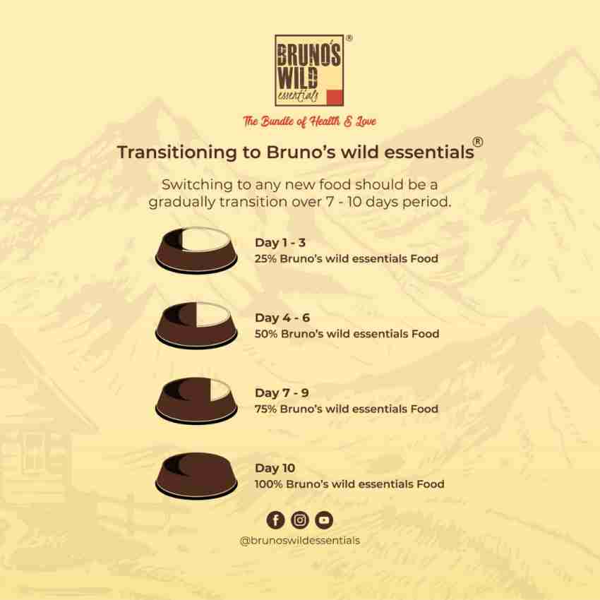 Bruno's Wild Essentials Grain Free Wet Dog Food Chicken Pate in Gravy 170g