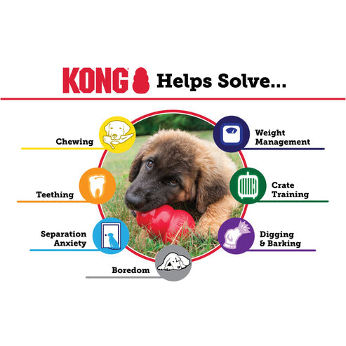 Kong Medium & Maxi Puppy Tough Chew Wobbler Toy