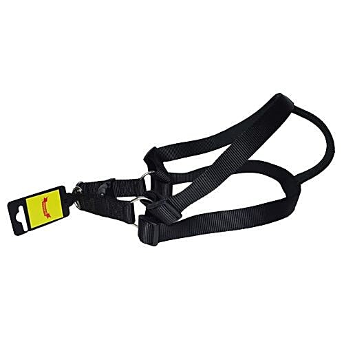 Petsworld Adjustable & Durable Dog Harness Large Size