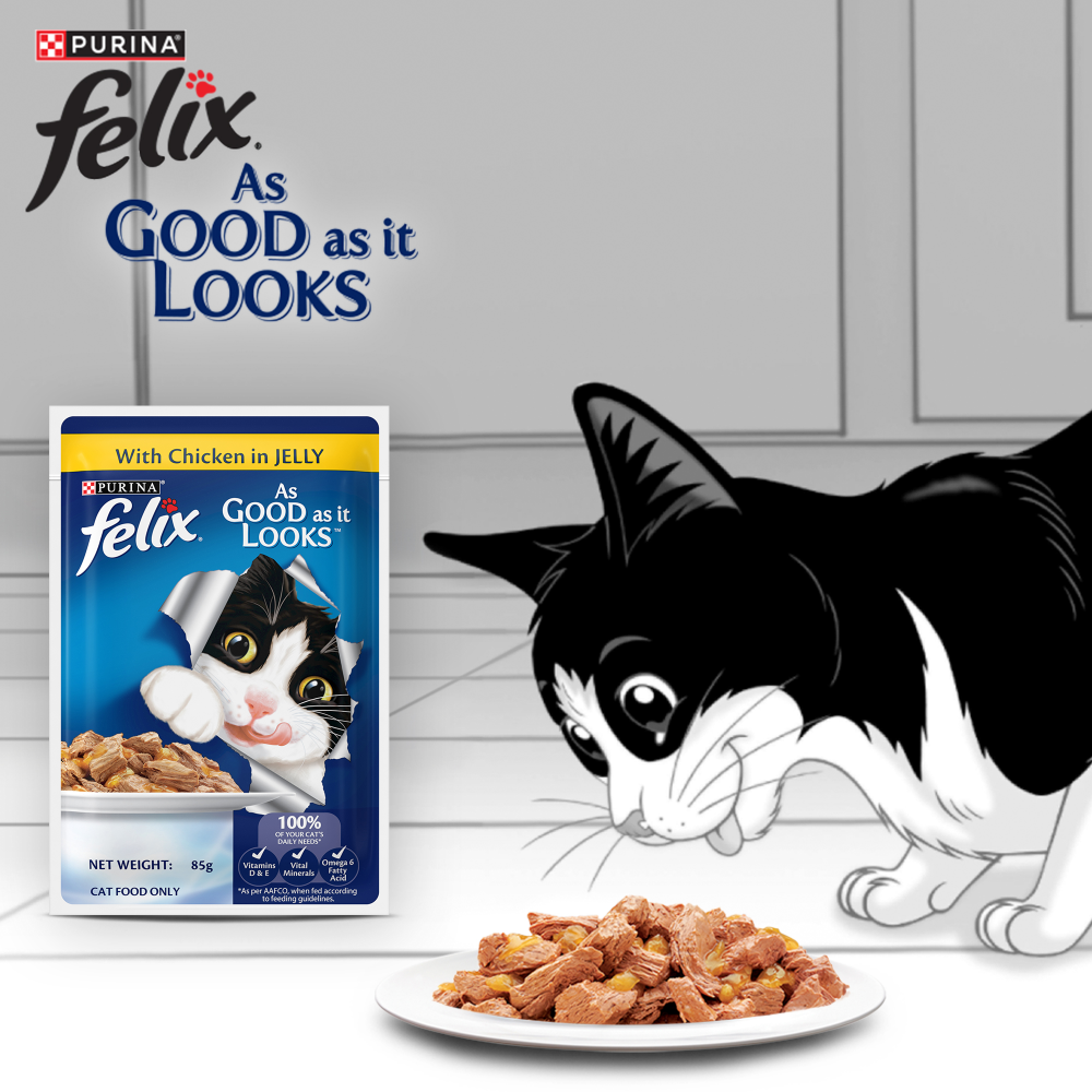 Purina Felix Chicken in Jelly Adult Cat Wet Food 85g