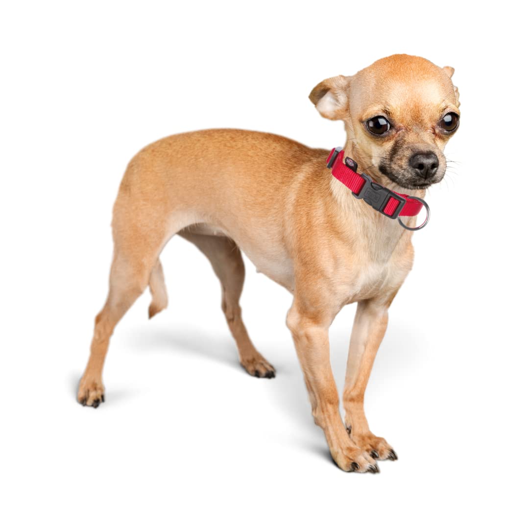 Trixie Premium Adjustable Collar for Dogs Size (S-M)