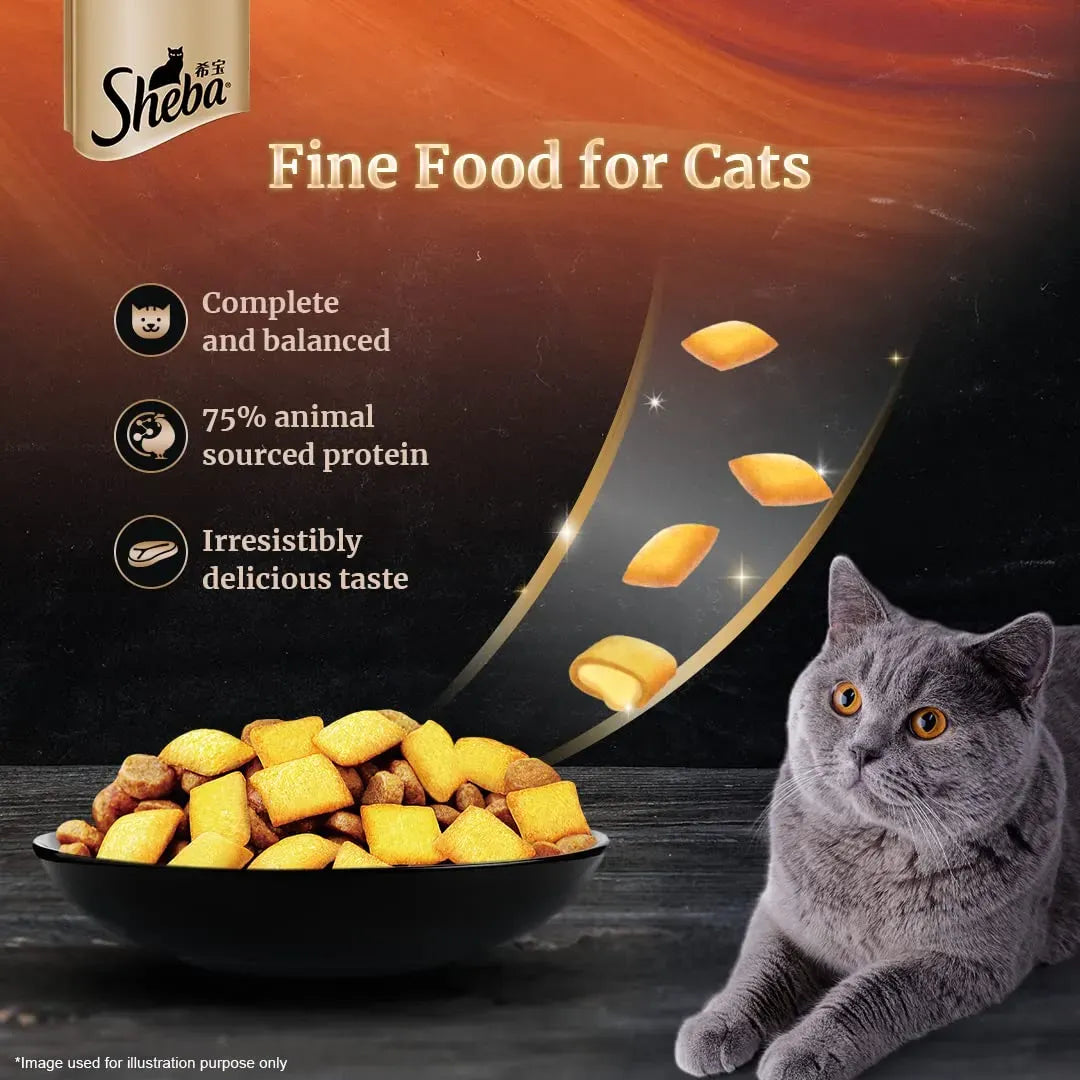 Sheba Chicken Flavour Dry Cat Food