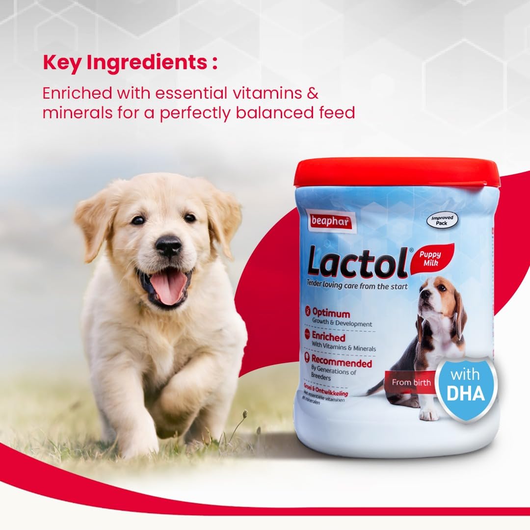 Beaphar Lactol Puppy Milk 250 gms Free Nursing Set