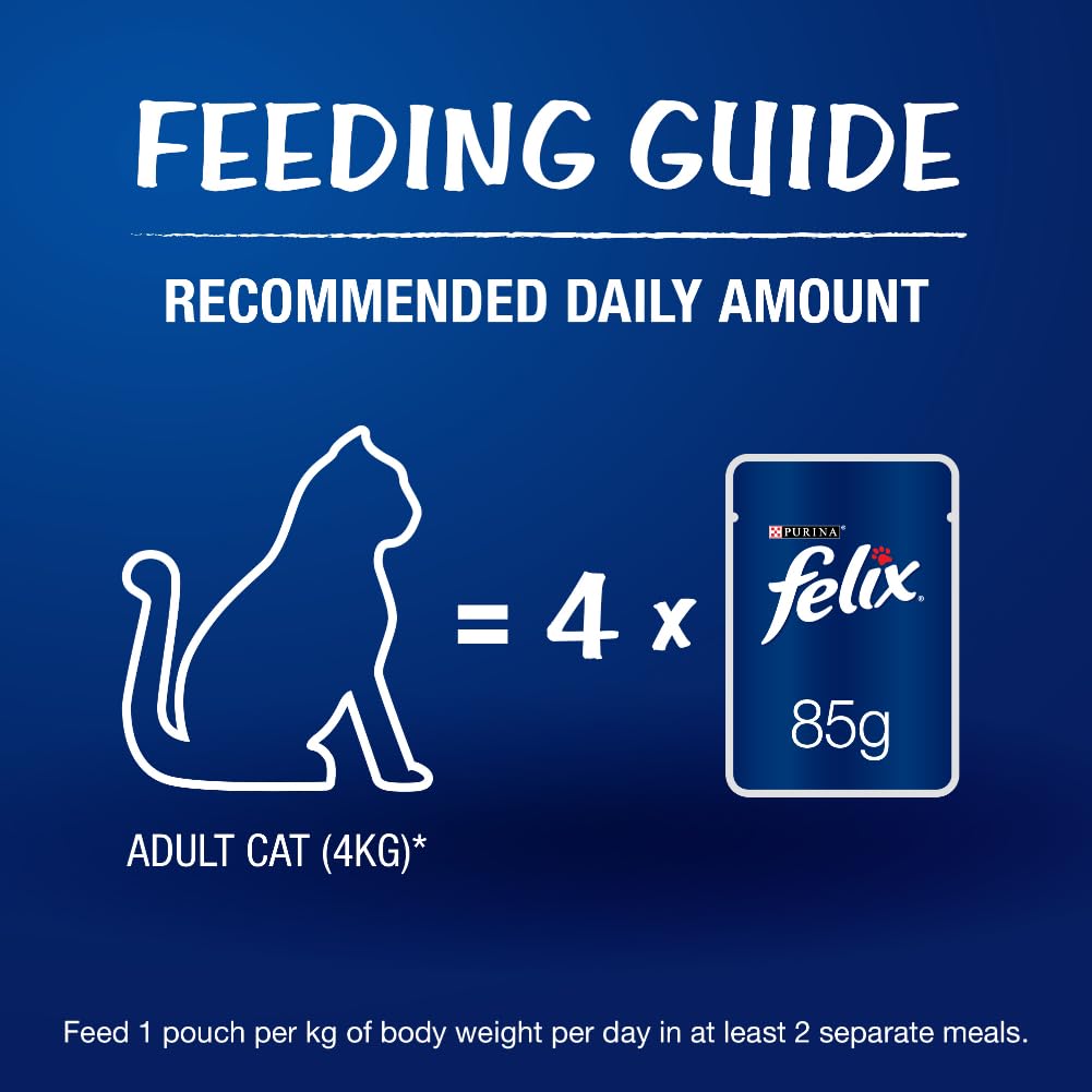 Purina Felix Sardine in Jelly Adult Wet Food 85g