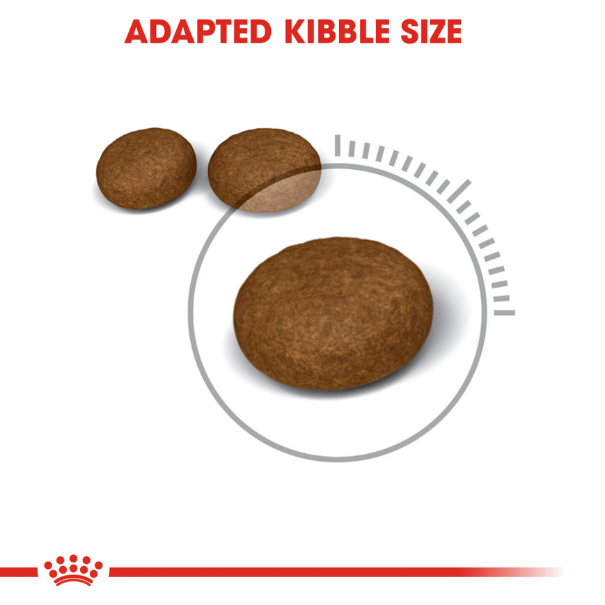 Royal Canin Feline Hair and Skin Care Nutrition Cat Food