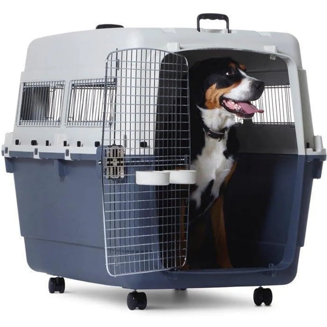 48-Inch IATA Approved Airline Dog Crate for Large Breed Dogs