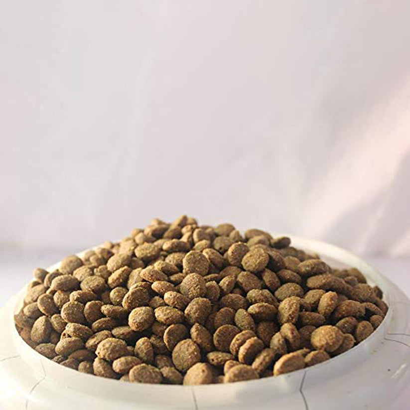 Bruno's Wild Essentials Freespirit Salmon & Chicken Dry Dog Food