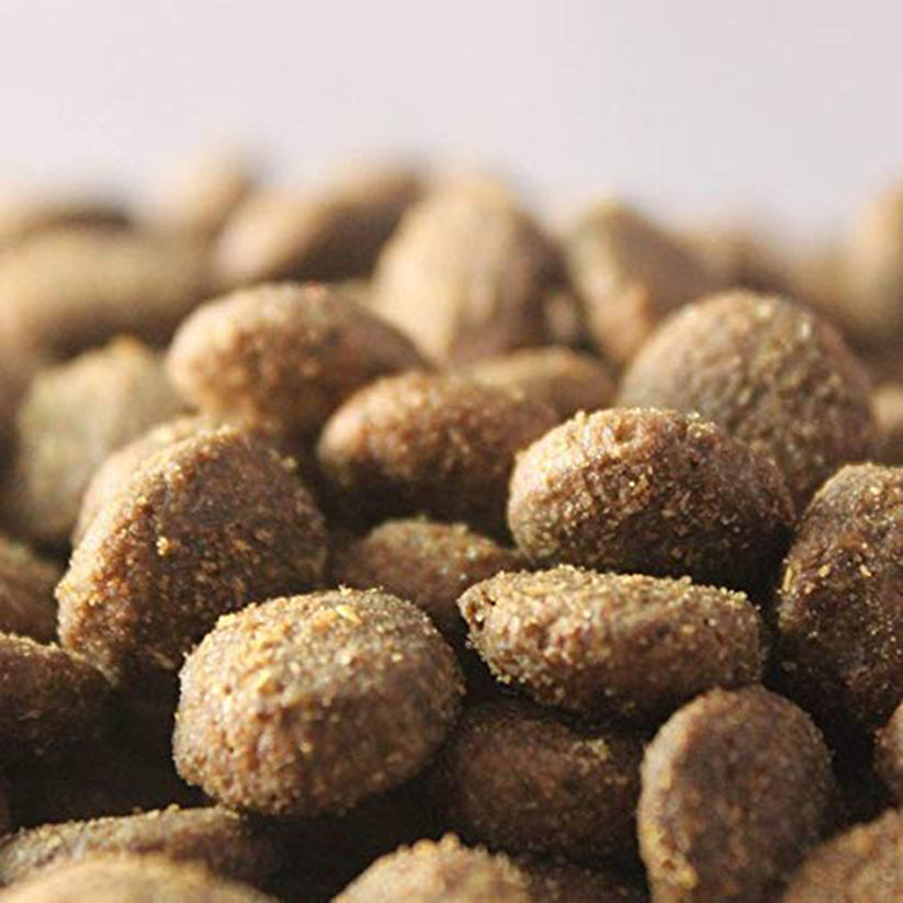 Bruno's Wild Essentials Freespirit Salmon & Chicken Dry Dog Food