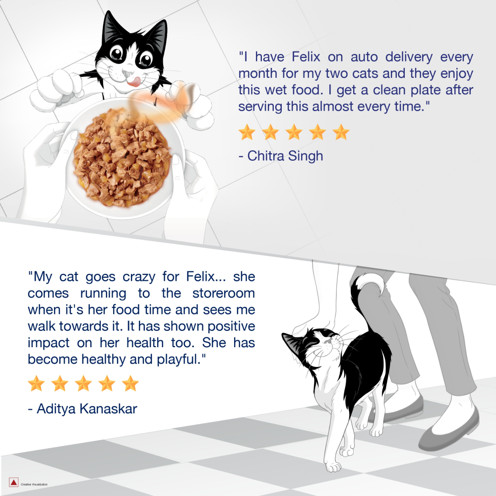 Purina Felix Chicken in Jelly Adult Cat Wet Food 85g