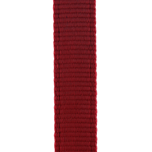 Trixie Premium Leash for Dogs Size (XS-S)