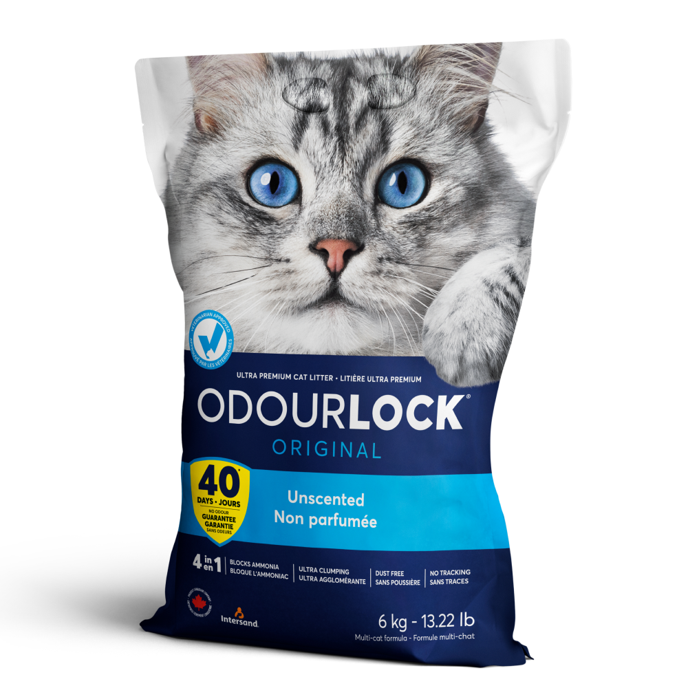 Intersand Unscented Odourlock Clumping Cat Litter 12 kg – Petsworld