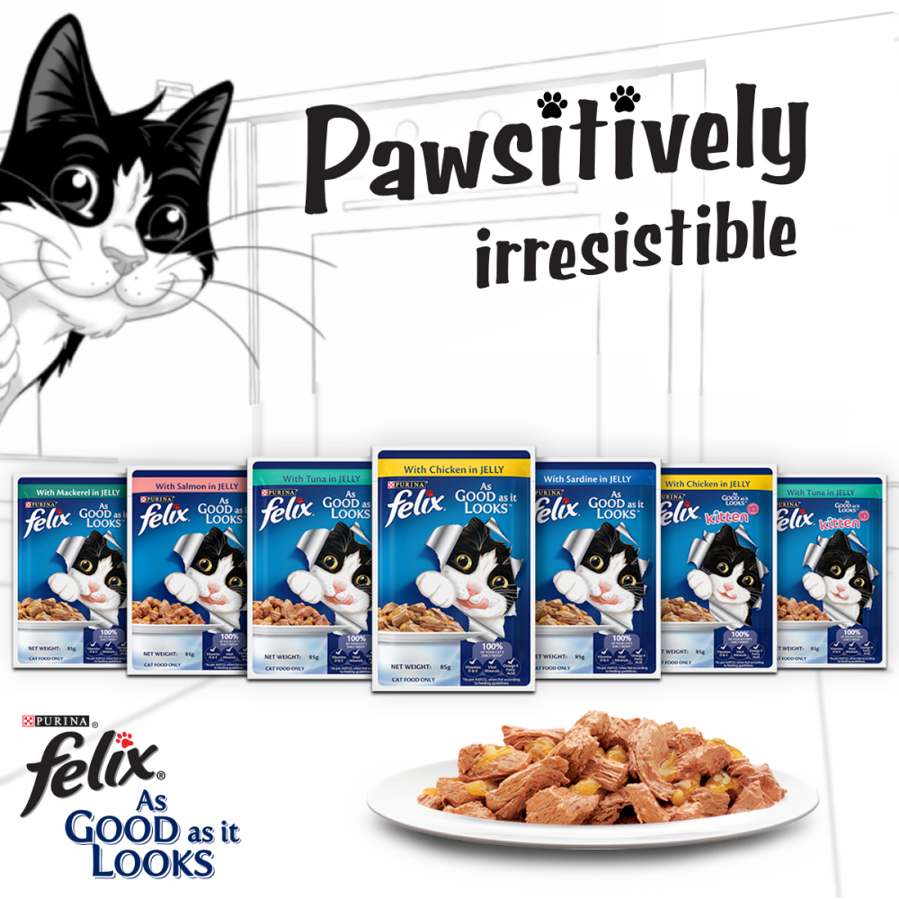 Purina Felix Chicken in Jelly Adult Cat Wet Food 85g