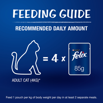 Purina Felix Salmon in Jelly Adult Wet Food 85g