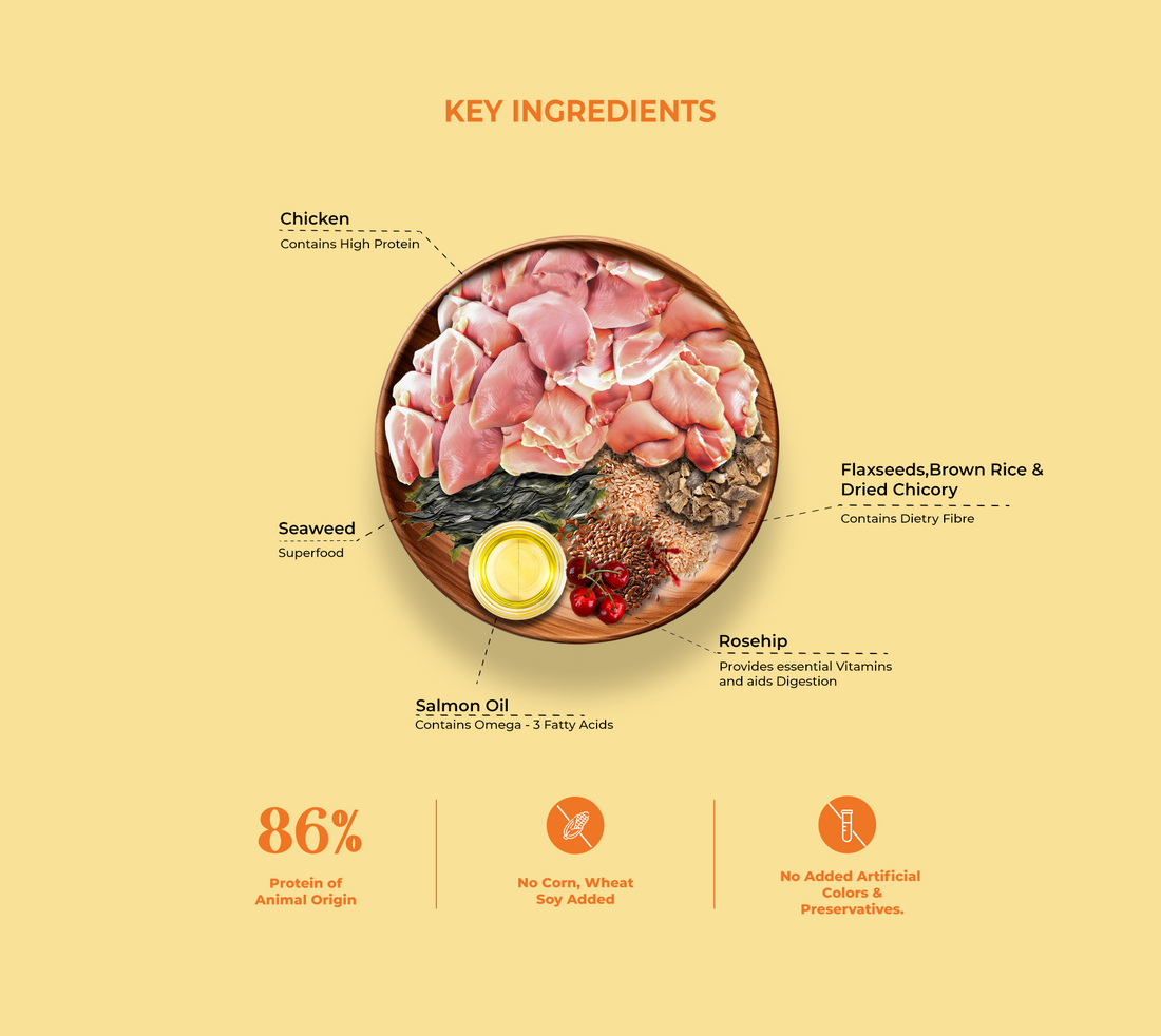 Brunos Wild Essentials Mother & Puppy Starter Dog Food