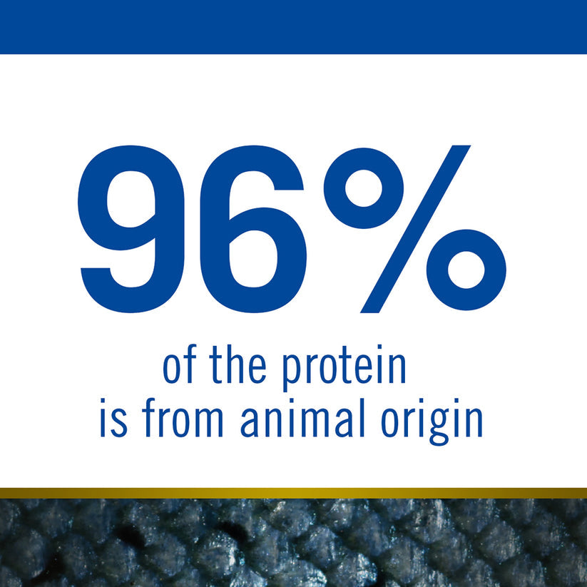 Farmina N&D Ocean Codfish Orange & Pumpkin Grain Free Medium & Maxi Breed Adult Dry Dog Food