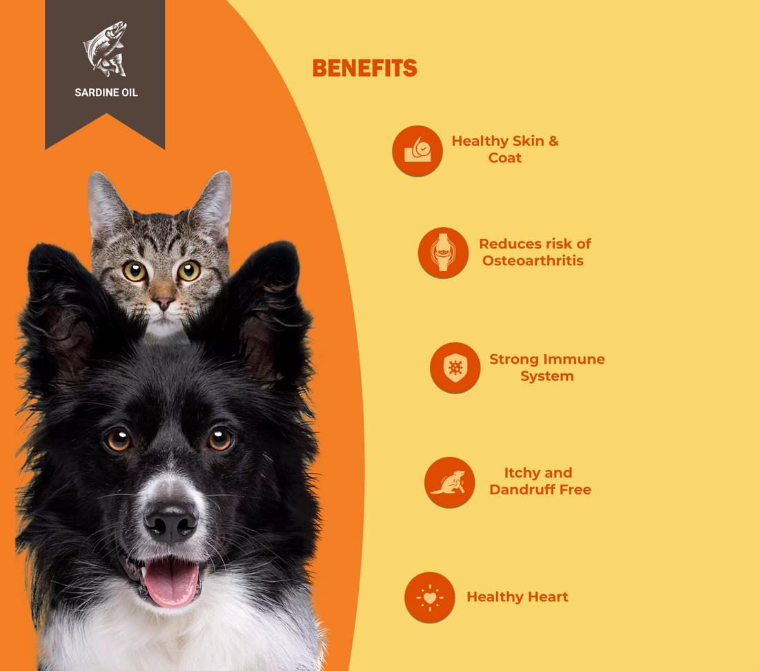Bruno's Wild Essentials Sardine Oil Natural Omega-3 Supplement for Dogs and Cats