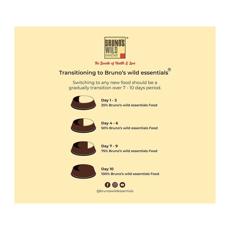 Bruno's Wild Essentials Grain Free Wet Dog Food Mackerel with Salmon & Vegetables in Gravy 170g