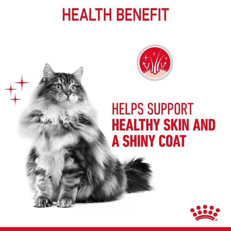 Royal Canin Hair & Skin Care Adult Gravy Cat Wet Food