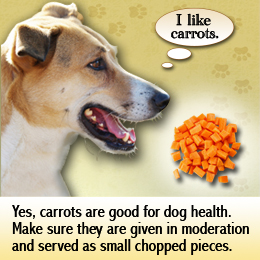 what are carrots good for dogs