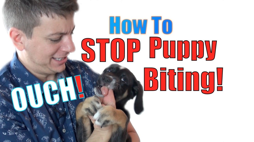 How To Teach Your Puppy Not To Bite Video