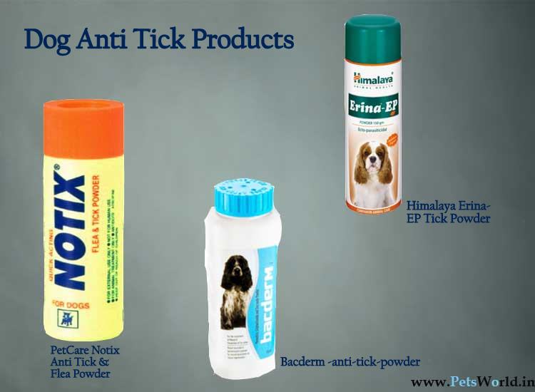 10 Essential Pet Products every dog owner must have!
