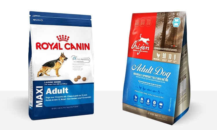 Modieus Zaklampen peddelen Dog Food Review |Royal Canin Maxi Adult Vs Orijen Adult Dog Food - Pet Blog  - Dogs, Cats, Fishes and Small Pets Blog