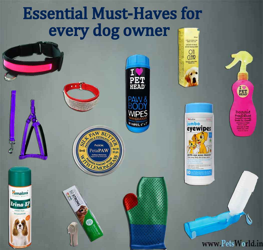 What Items Do Dogs Need
