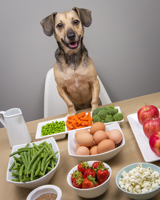 10 Human Foods Suitable For Dogs