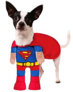 Superman-Dog-Costume-Small_DA_41_333