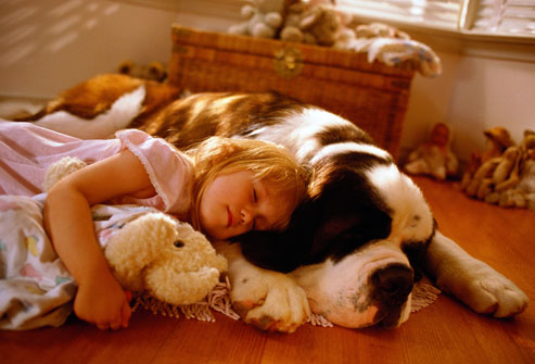 10 Dog Breeds that love to sleep