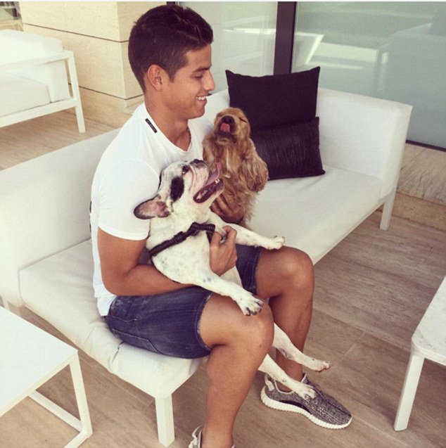 Images of famous footballers with their dogs.
