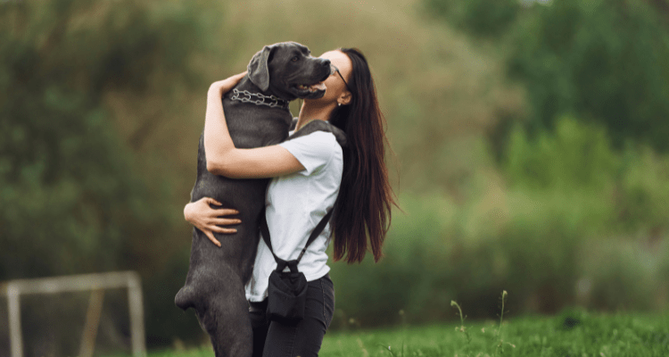 Best Dog Breeds for Therapy