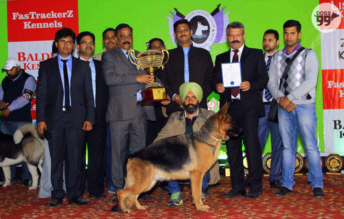 #ChampionDogs were #RockStars @ Gurgaon Kennel Club Twin Breed KCI Championship 2016. [Dog Show Photos]