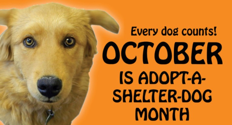 Save A Life: National Adopt a Shelter Dog Month