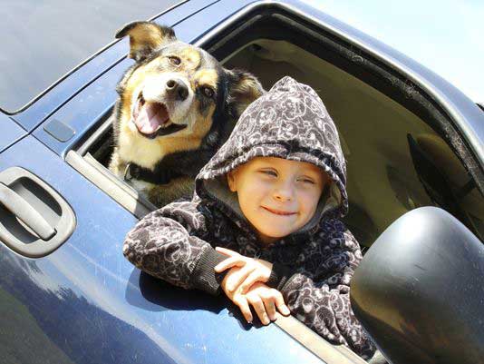 Best Pet Friendly Road Travel Tips. How To Drive Safely With Dogs!