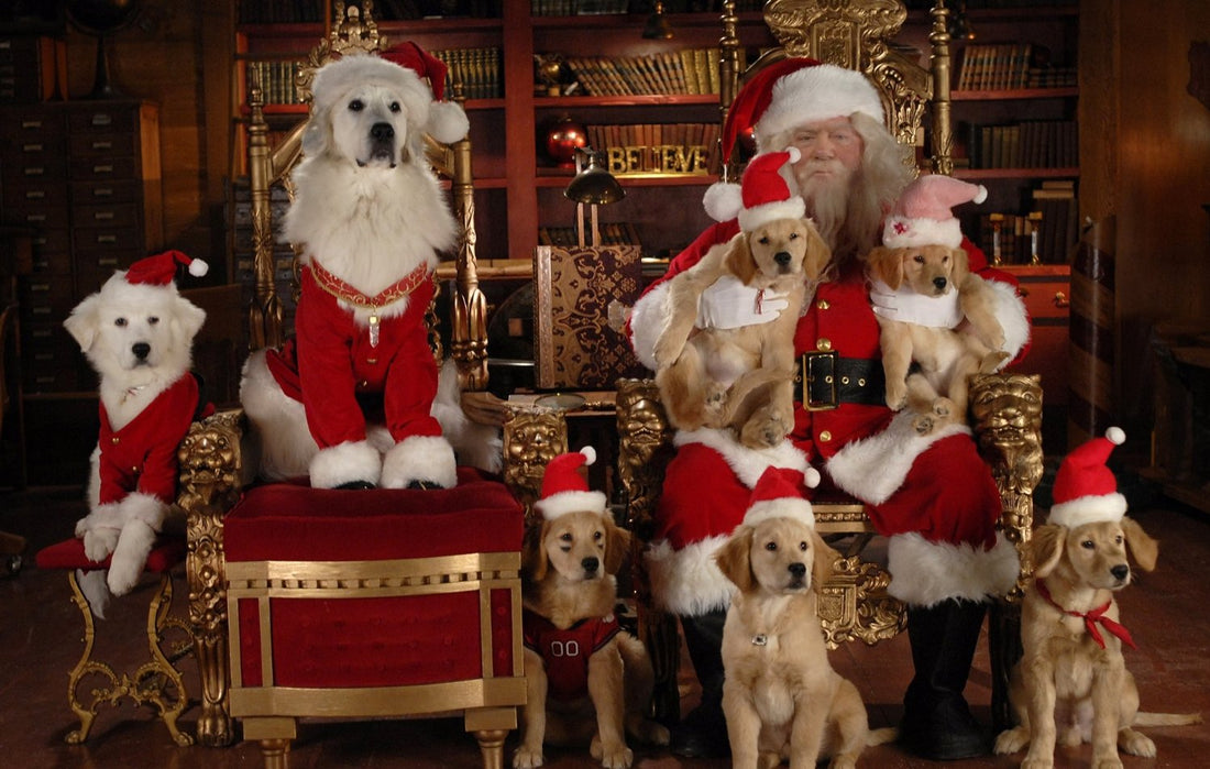 Dog Pictures With Santa Claus